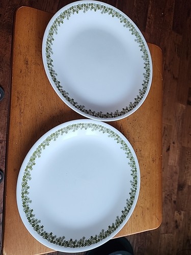 Corelle Spring Blossom Crazy Daisy Green Dinner Plates 10 1/4", Set of 2 - Bild 2 von 4