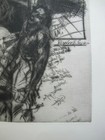 Bild 3 von 6