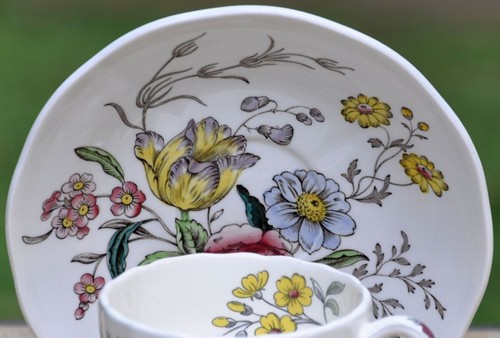Spode GAINSBOROUGH Cup & Saucer scalloped floral transferware Marlborough shape - Picture 5 of 6