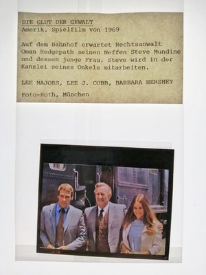 Die Glut der Gewalt   1 Pressedia   Lee Majors / Barbara Hershey