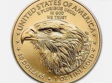 1 oz American gold eagle 50 coin