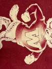 Vintage 1950’s  Wisconsin Badgers Madison University Pennant 11x29 Inch Big Ten — photo 10