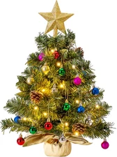 24"/2FT Tabletop Mini Christmas Tree Pre Lit with Warm Lights, Holly Berries, Pi