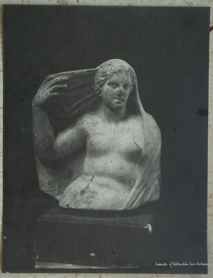 Aphrodite Statue Antike vintage Foto 1880  albumen print  28x21 cm Museum