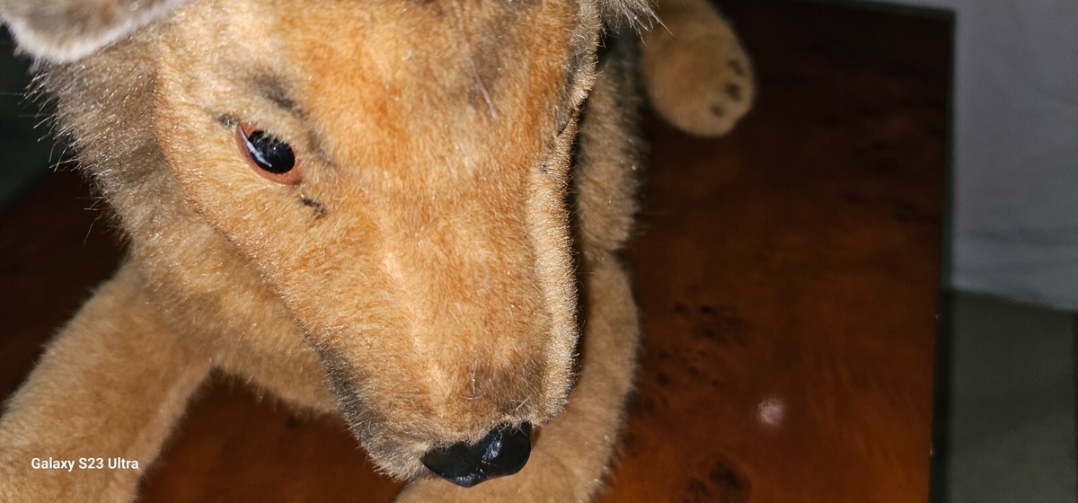Rare Vintage Large Steiff German Shepherd Dog | eBay