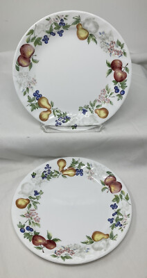 Set of 2 Corning Corelle 7 1/8'' Chutney SALAD Plate Fruit Border Swirl Rim HTF