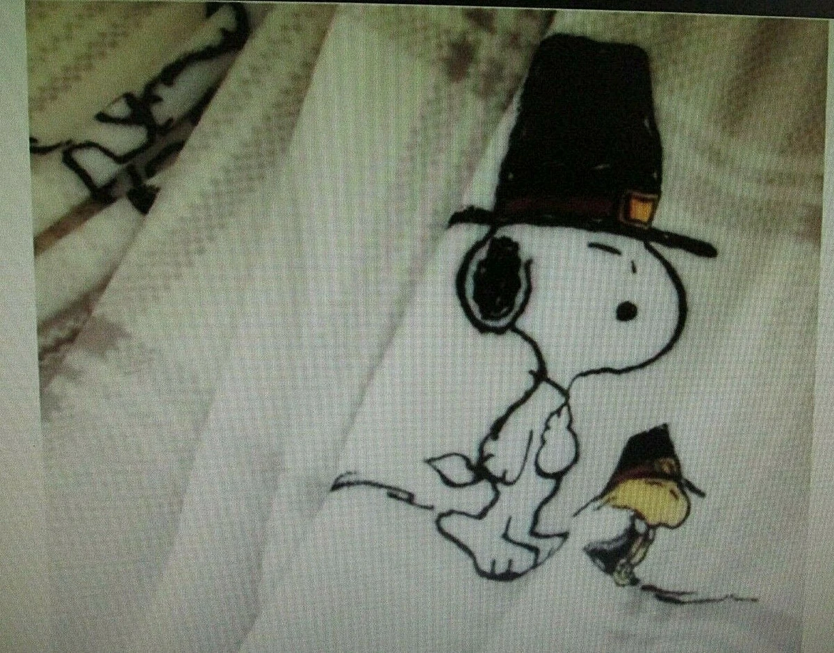 Snoopy thanksgiving online blanket
