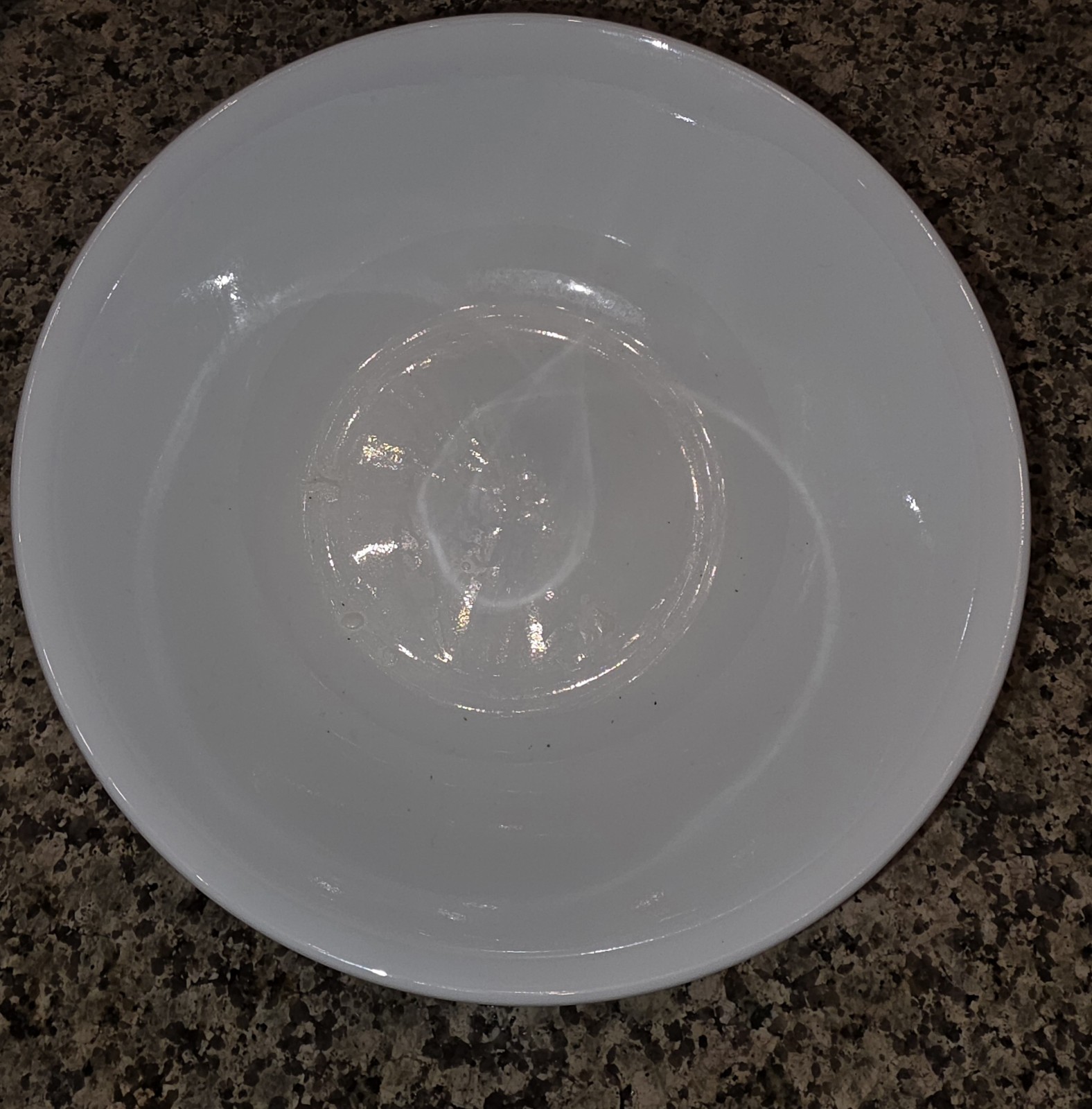 Corelle Large 10 1/4