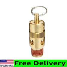 250°F Rated ASME Safety Valve - Brass with Stainless Steel Spring, 1/4" NPT