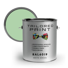 RAL6019 White Green Direct To Metal 2k Brush or Spray On Paint MATT Smooth