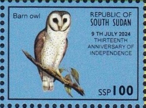SÜDSUDAN 2025 INDEPENDENT Single: - 100 SSP Barn Owl - kostenloser Versand USA - Bild 1 von 1