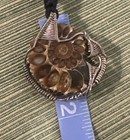 Natural Ammonite Fossil Jewelry Silver Tone Wrapped Pendant Necklace! Boho — photo 9