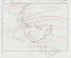 The Twelve Kingdoms Juuni Kokki Genga Douga Original Sketches Pierrot - Youko — photo 1