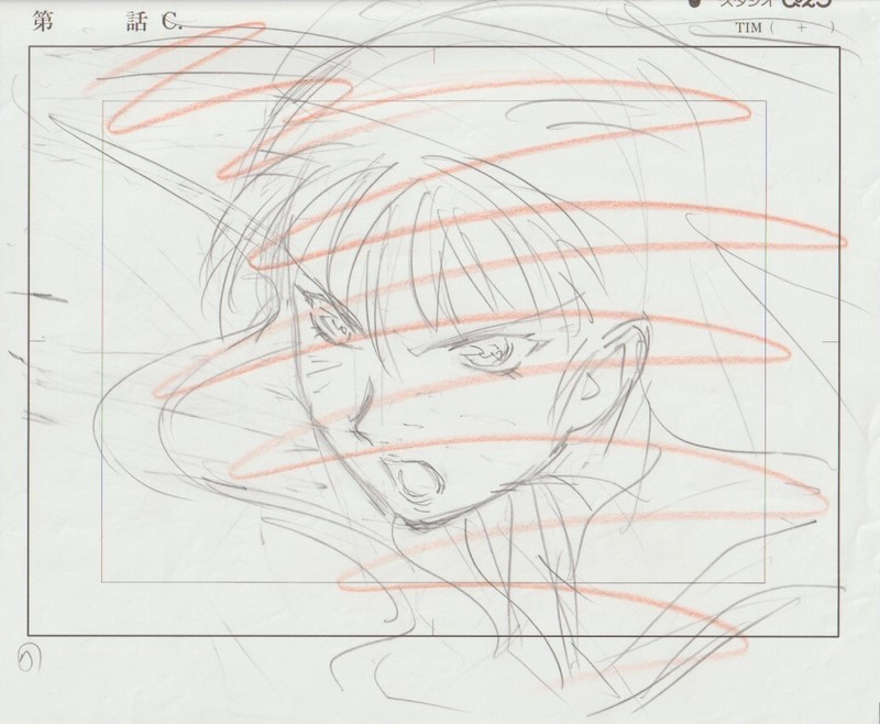 The Twelve Kingdoms Juuni Kokki Genga Douga Original Sketches Pierrot - Youko