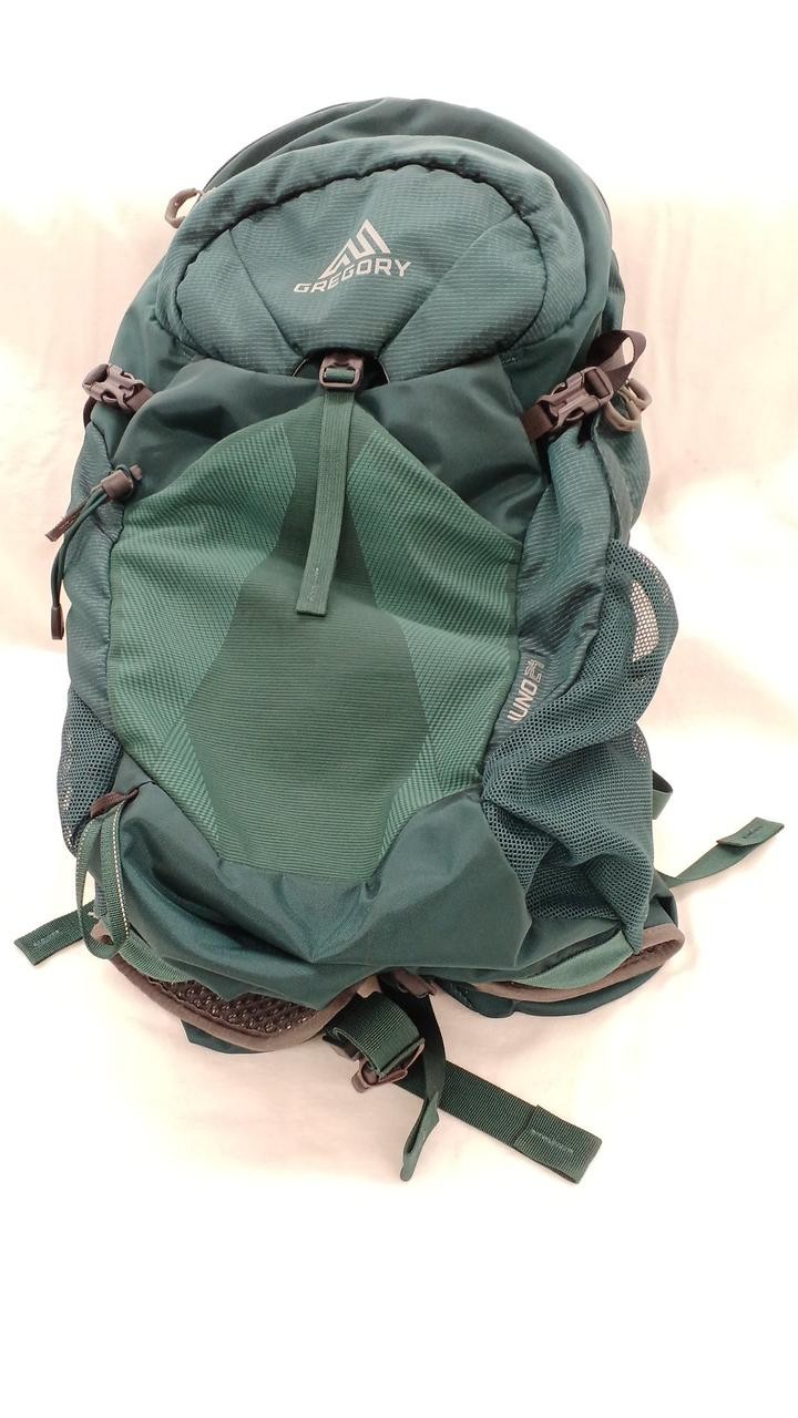 Gregory Backpack - image 1