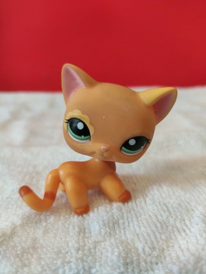 Littlest Pet Shop Chat Europeen 1643 Lps Petshop Cat Kitty Hasbro Ebay