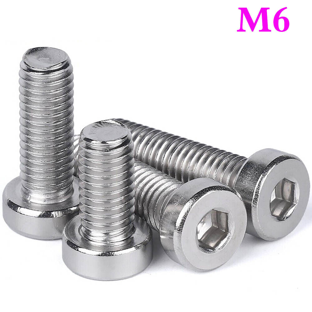 M6 x 1.0 Stainless Steel Low Head Allen Hex Socket Head Cap Screws