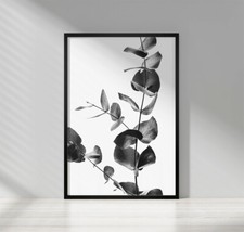 Black and White Botanical Tropical Wall Art Prints Living Room Bedroom Pictures