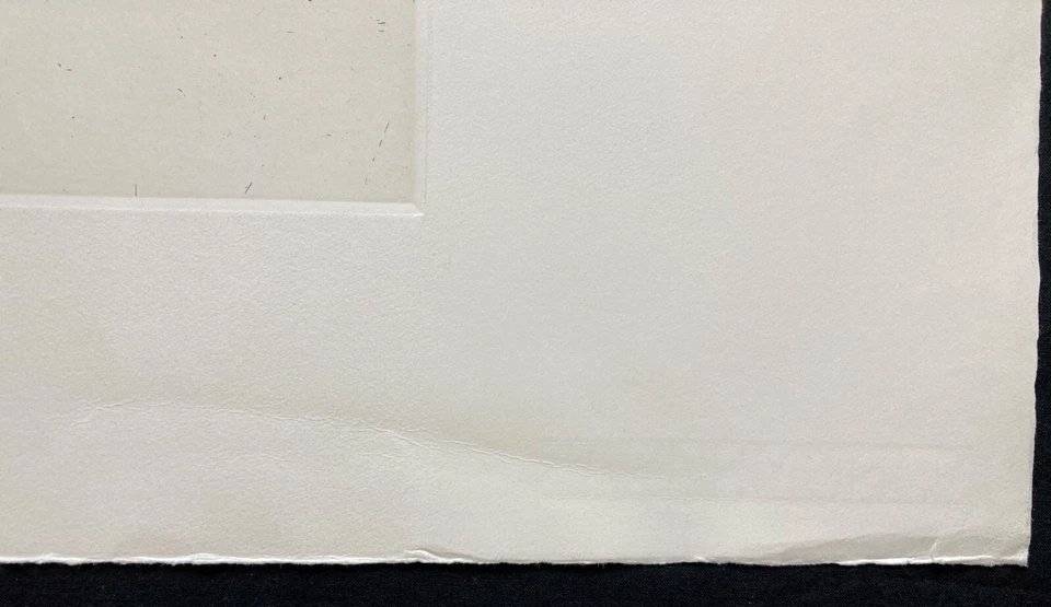 Jonas Hafner Grafik Selbst Schlange Radierung signiert - Bild 4 von 4