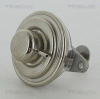 Triscan AGR Ventil 8813 24054 FüR Opel Saab J96 CC Vectra AluminiumgehäUse 16V