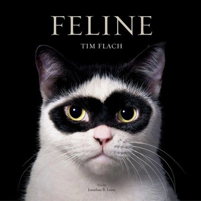 Feline Photographs Tim Flach Buch Englisch 2025 Abrams & Chronicle Books