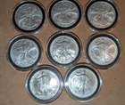 2004  Walking Liberty Silver Dollar lot of 8, 8 ozs pure silver