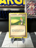Potion 101/113 Common - Delta Species Pokémon TCG - LP