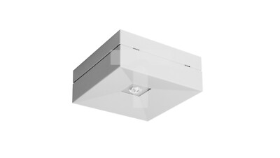 Sicherheitsleuchte LOVATO II LED 3W (opt. road) 340lm 1h Einzweck weiß L 