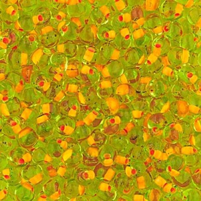 DPF-13, Coral Lined Chartreuse, 10g,  3.4mm drop/fringe beads, (db-100)