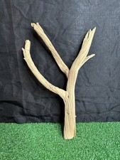 Terrarium reptile branche aquarium en bois flotté