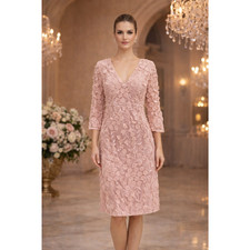 NWT Eliza J Blush Pink 3D Floral Applique Size 14 Dress Special Occasion Classic