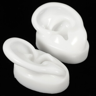  Ear Anatomy Model Silicone Ohrform Ohrmodell Für Ohrringe Reinigung