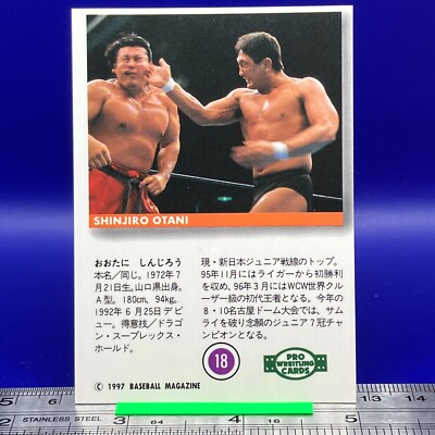 Shinjiro Otani BBM Pro Wrestling Card TCG Vintage Japanese #18 | eBay