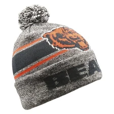 Chicago Bears 2019 Forever Collectibles NFL Gray Light Up Beanie FREE SHIP