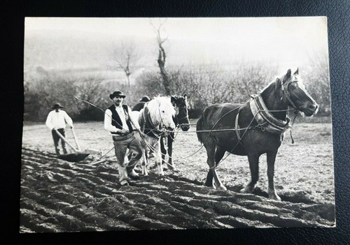 Jos le Doaré - 1950 - Bretagne - France ( 35 photos ) - Catawiki