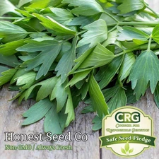 Lovage Seeds | Non-GMO Heirloom | Medicinal, Culinary Herbs | Fresh Garden Seeds
