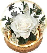 Preserved Roses & Fresh Flowers Bouquet – Gift for Women, Roses That Last Foreve