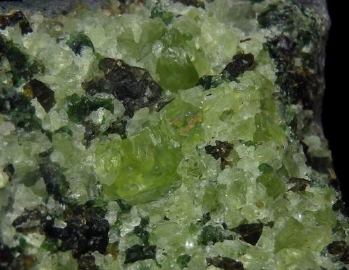 OLIVINE - FORSTERITE PERIDOT xenolite in basalt -- CZECH REP. Smrčí /pi688 - Picture 17 of 18