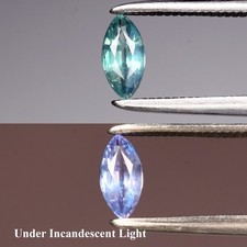  on The Hot Collector