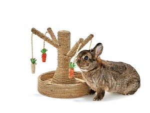 rosewood bunny fun tree