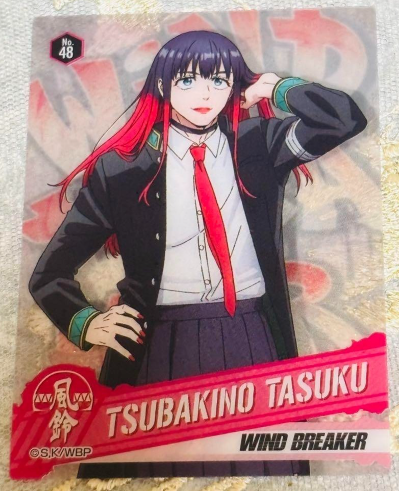 Japanese Anime Wind Breaker Clear Card Collection Gum 2 Tasuku