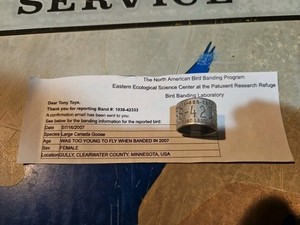 2007 GULLY MINNESOTA Canada Goose CALL 800 327 Band 1038 Duck Bird Call Leg