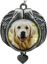 Angel Wing Pet Memorial Frame Ornament You Left A Paw Print On My Heart Forever 