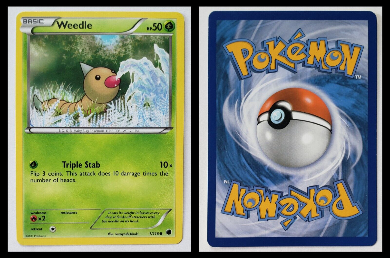 2013 Pokemon WEEDLE Card TCG 1/116 Plasma Freeze Team Stage 1 HP 50 MINT! (A)