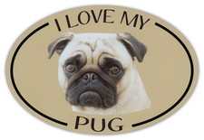 Oval Dog Breed Picture Car Magnet - I Love My Pug - Bumper Sticker Decal