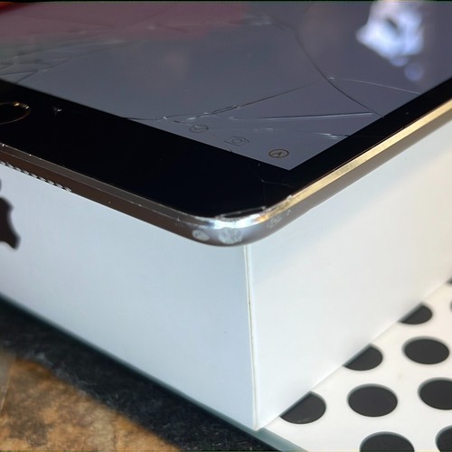 Apple iPad mini 4 (32gb) Wi-Fi (A1538) Fractured Display {iOS13}86% JAILBREAK - Picture 5 of 12