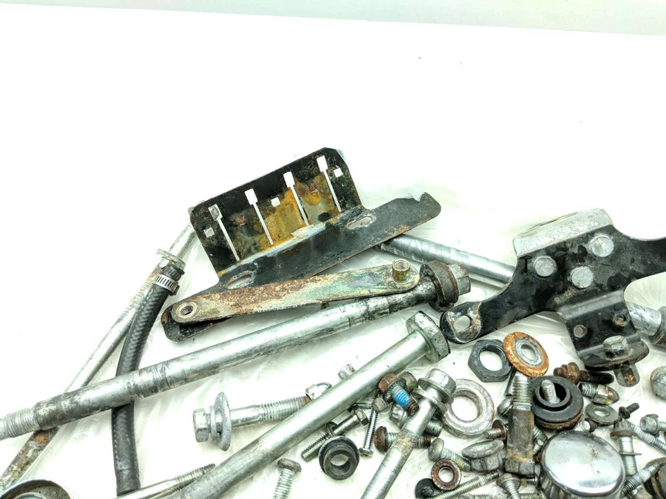 99-06 Harley Davidson Fat Boy FLSTFI Motor Miscellaneous Hardware Bolt Kit - Image 2 of 4