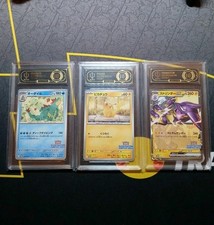 2025 Pokemon Concorso Illustrazione 2024 Set SV-P JP PSA 10