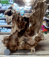 Derwen Oak Bogwood 19-49cm Dense Driftwood ideal for aquariums & vivariums