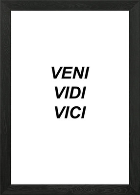 Veni Vidi Vici Gerahmtes Wandbild Poster Leinwanddruck Bild